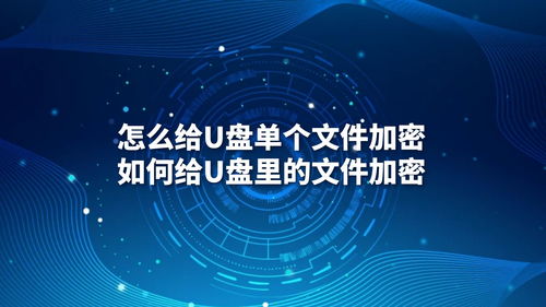 U盤文件加密指南 從單個(gè)文件到批量保護(hù)與專業(yè)軟件開(kāi)發(fā)
